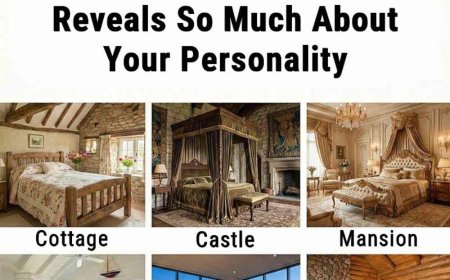 You Must Pick Only One Bed to Sleep In for the Rest of Your Life — Your Choice Reveals More Than You Think