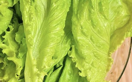 Doctors Reveal That Eating Lettuce in Winter Can Increase Health Risks