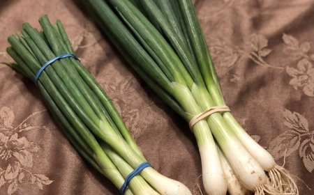 Difference Between Green Onions, Scallions, Spring Onions and Chives