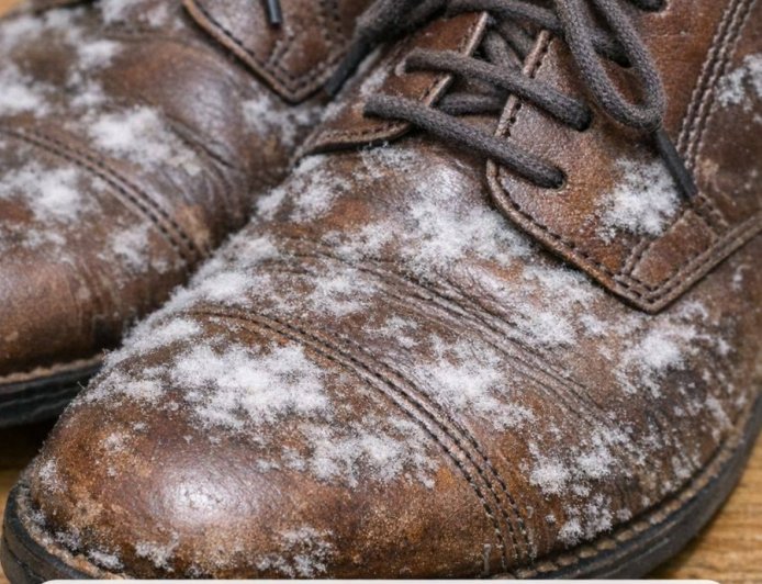 I pulled out shoes I haven’t worn all winter and found white fuzzy patches growing on the leather. What is this?