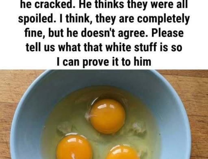 The White Strand Inside an Egg Explained: Why It Looks Unusual, What It Does, and How It Quietly Signals Freshness and Safety