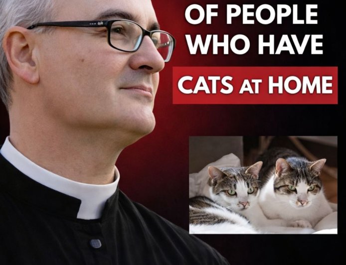 Spiritual reflections on the meaning of having cats at home.