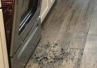 Why Do Oven Doors Shatter and How to Prevent It?