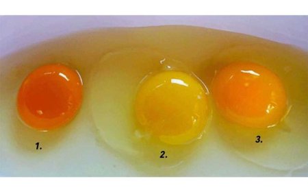 Darn, I didn’t guess right