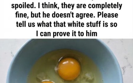 What Is That White Strand in Eggs? (It’s Not What You Think!)