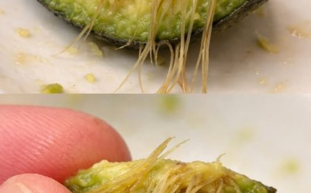What Those Strange Strings in Your Avocado Really Mean — And Why You Shouldn't Worry