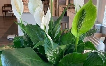 5. Keep It Warm (Avoid Cold Drafts)