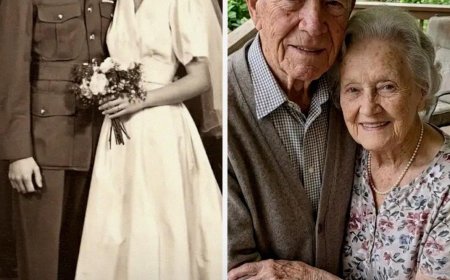 THE 72 YEAR SECRET