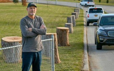 Wealthy Neighbors Removed My Trees So I Closed Their Access Road