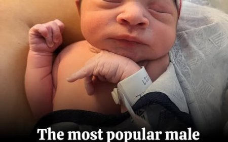 According to the Official Book of First Names, this name from another era will make a real comeback in 2026 among young parents