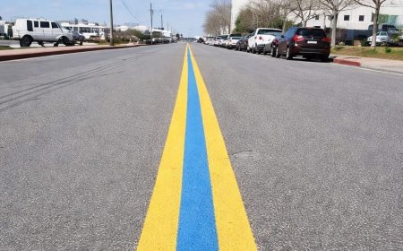 Noticed a Blue Line on the Road? Here is What It Signifies