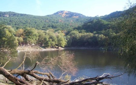 At First It Looks Normal… But Look Closer and You’ll See It