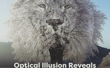 The First Thing You Notice May Reveal Something About Your Personality