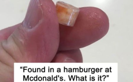 57 Times People Were Stumped by What They Saw—But the Internet Identified It Instantly