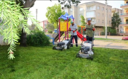 Wildlife Team Assists Animal Discovered in Remote Habitat