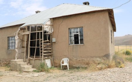 What It Might Mean If You See a Snake in Your Home