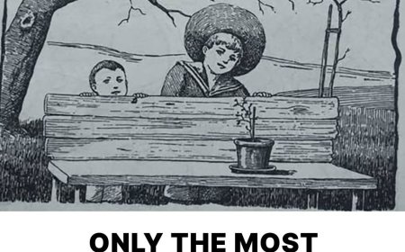 The Hidden Face: Challenge Your Eyes to See the Mother