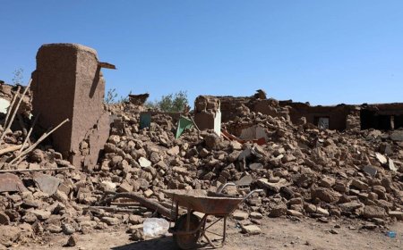 Seismic Shocks Shake Region