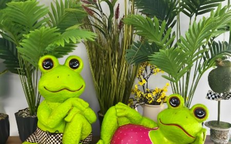 What It Really Means When a Toad Appears Indoors or in Your Yard