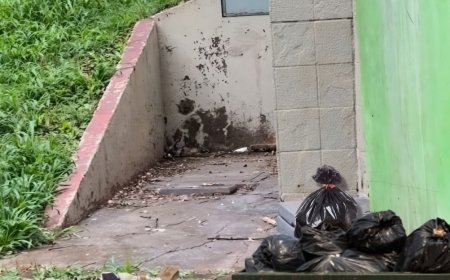 Found Alone, Now a Search Begins to Find Her Family