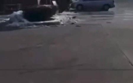 Routine Stop Turns Into Major Police Investigation in the City