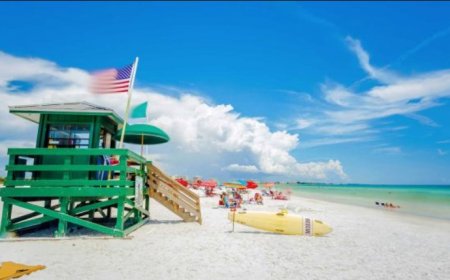 Authorities Share Update After Incident Involving Young Swimmer in Sydney