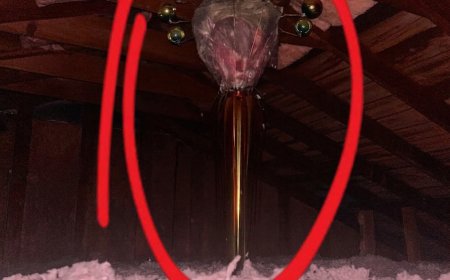 What You Might Find in Your Attic and Why It May Not Be What It Seems