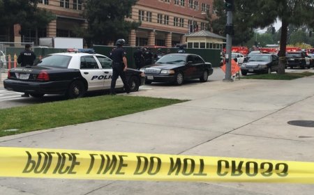 What Investigators Found in a Quiet Neighborhood Surprised Everyone