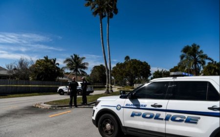 Florida Car Decal Case Draws Widespread Attention and Legal Debate