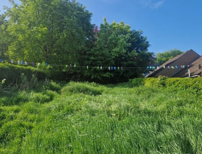 The Unexpected Garden Discovery That Taught Me Something Meaningful!