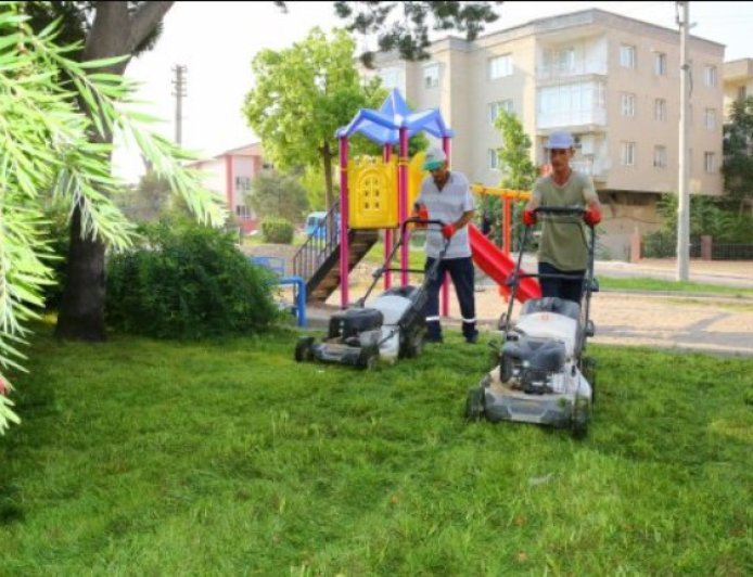 Wildlife Team Assists Animal Discovered in Remote Habitat