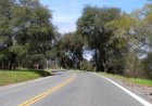 Serious Traffic Incident on Route 9 Under Investigation