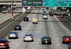 Neighbors Act Fast After Spotting Signs of Danger Near Vehicle