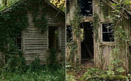 Everyone Thought I Lost the Inheritance Until I Opened Grandpa’s Forgotten Cabin