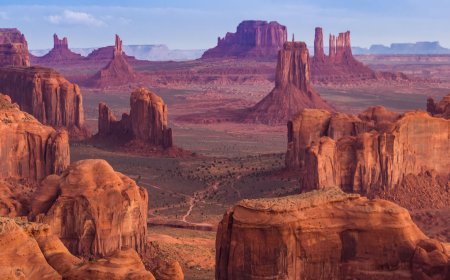 Arizona Officials Confirm Major Tommaso Cioni Update