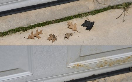 When this snake enters your house, it means you