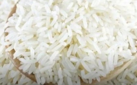 Die Reisdiät: Ein einfacher Weg zu einer ausgewogenen Ernährung