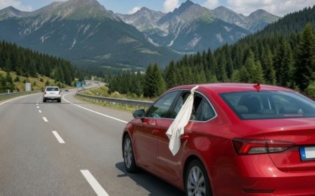Ein weißes Tuch im Autofenster… Ein wenig bekanntes Verkehrssignal!