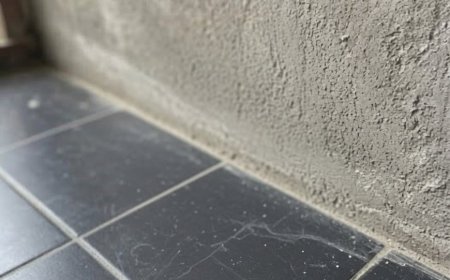 Wir kamen aus dem Urlaub zurück und entdeckten eine unerwartete Überraschung in unserem Badezimmer.