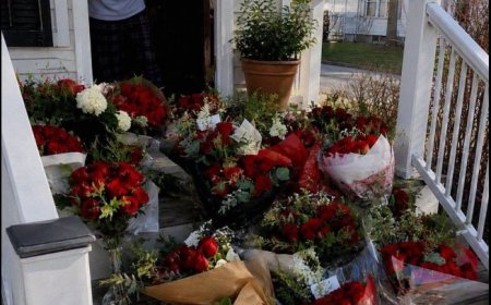 A Hundred Roses Covered My Porch While I Was Away—Then I Found the Note That Destroyed My World