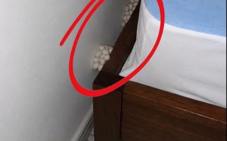 I Came Home After A Long Shift Only To Find A Terrifying Discovery On My Bedroom Floor