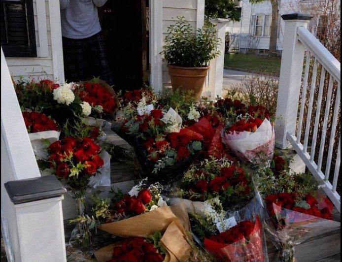 A Hundred Roses Covered My Porch While I Was Away—Then I Found the Note That Destroyed My World